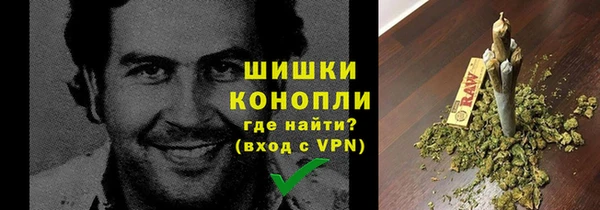 молекула духа Зеленокумск