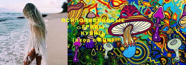 молекула духа Зеленокумск