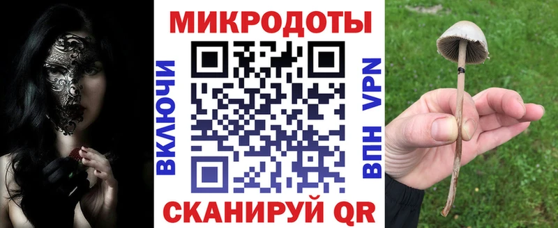Купить закладки  Зима  Псилоцибиновые грибы Cubensis 